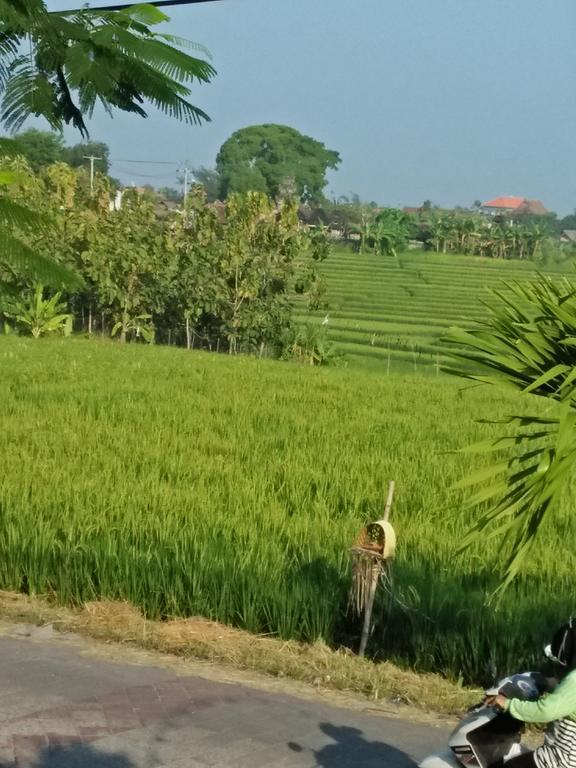 The Wina Guest House 2 Canggu Kültér fotó