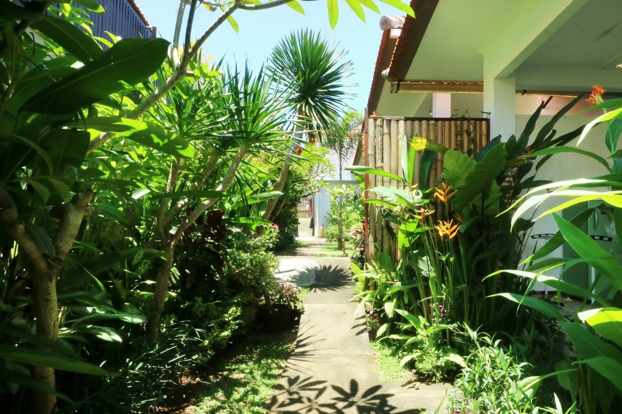 The Wina Guest House 2 Canggu Kültér fotó